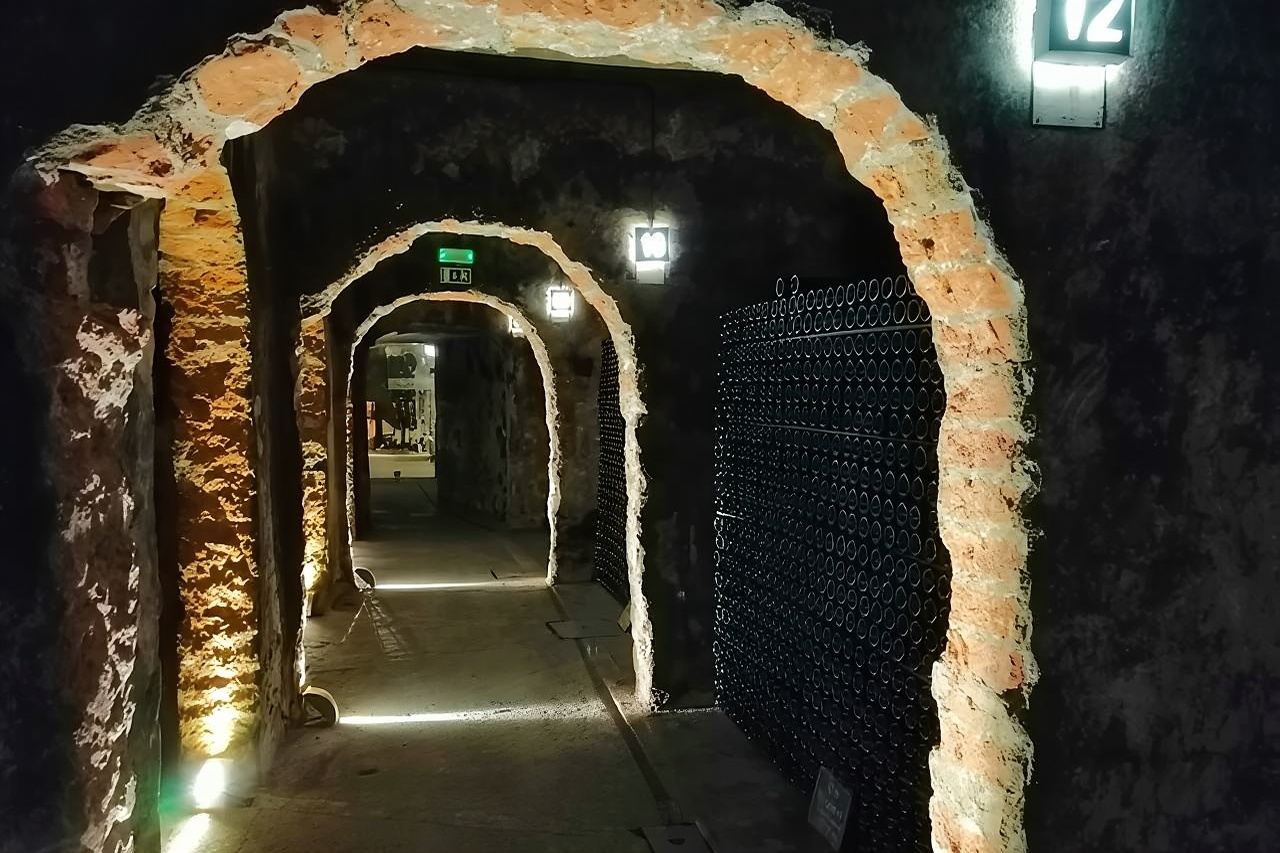 เส้นทาง Bairrada Winery ครึ่งวันจาก Coimbra