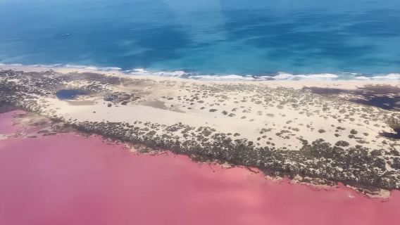 Ημερήσια εκδρομή με μίσθωση οχήματος στην περιοχή του Περθ της Αυστραλίας | Προσαρμοσμένα ταξίδια | Ρυθμίσιμο διαδρομής | Ατομική ομάδα ανά παραγγελία