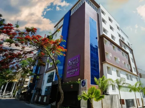Zip by Spree Hotels PurpleOrchid Whitefield