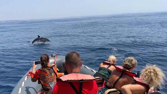Dolphins & Benagil Caves with Biologist guide