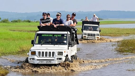 Minneriya National Park halfday Safari