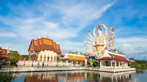 Private Customized Tour with Driver in Koh Samui