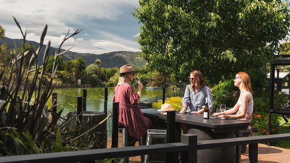 Marlborough Afternoon Wine Tour with Tastings