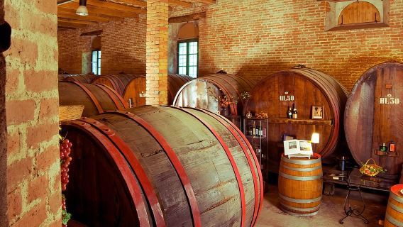 Lawatan dan Rasa Wain di Estet Wain Tertua di Le Marche