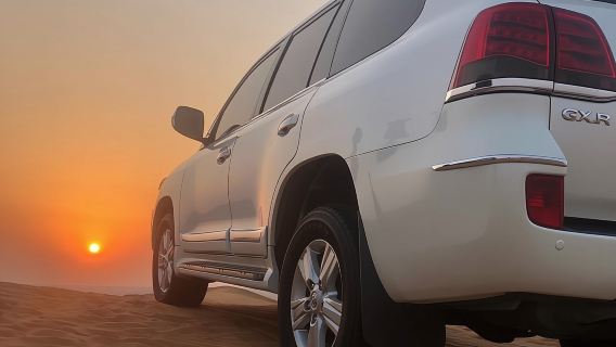 Dubai Red Dunes Afternoon Desert Safari with Camel Ride