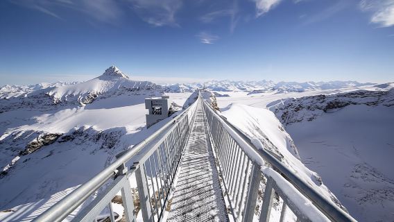 Excursion à la journée complète au Glacier 3000 et à Montreux au départ de Genève