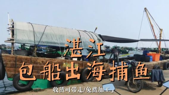 【湛江包船捕魚】廣東湛江出海觀光+捕魚/出海放2網+收貨免費加工/無二次消費