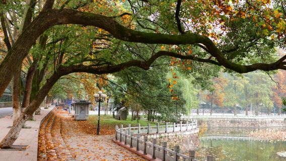 Башня Желтого Журавля + Провинциальный музей + Восточное озеро + Павильон Цинчуань + Пляж реки Ханькоу (гид и переводчик доступны, выбор гид можно изменить)