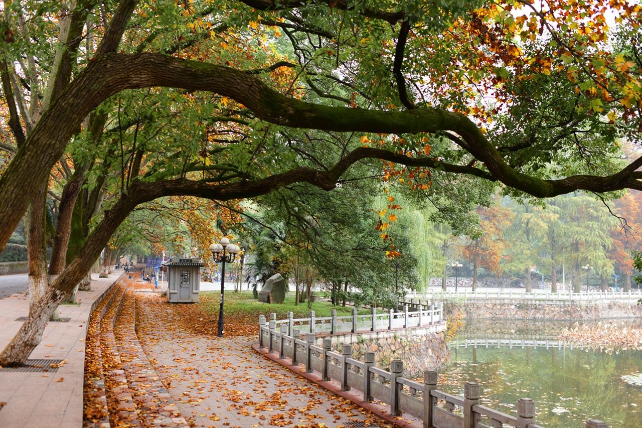 Guida per la Torre della Gru Gialla + Museo Provinciale + Lago Orientale + Padiglione Qingchuan + Spiaggia del Fiume Hankou, itinerario flessibile