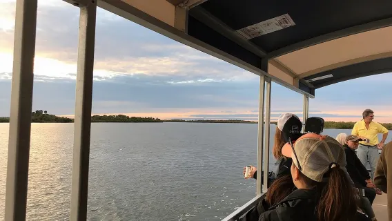 Tur Satwa Liar di Indian River Lagoon dengan Kapten Berpengalaman