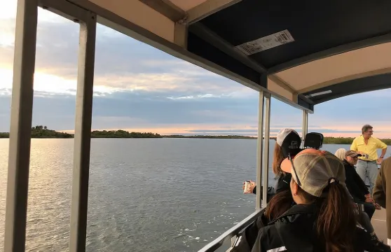 由經驗豐富的船長帶領，遊覽印度河潟湖野生動物。