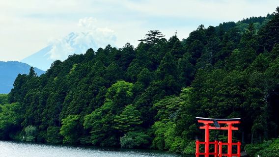 日本+東京+箱根湯本+蘆之湖一日遊/行程可調-可客製化多日遊