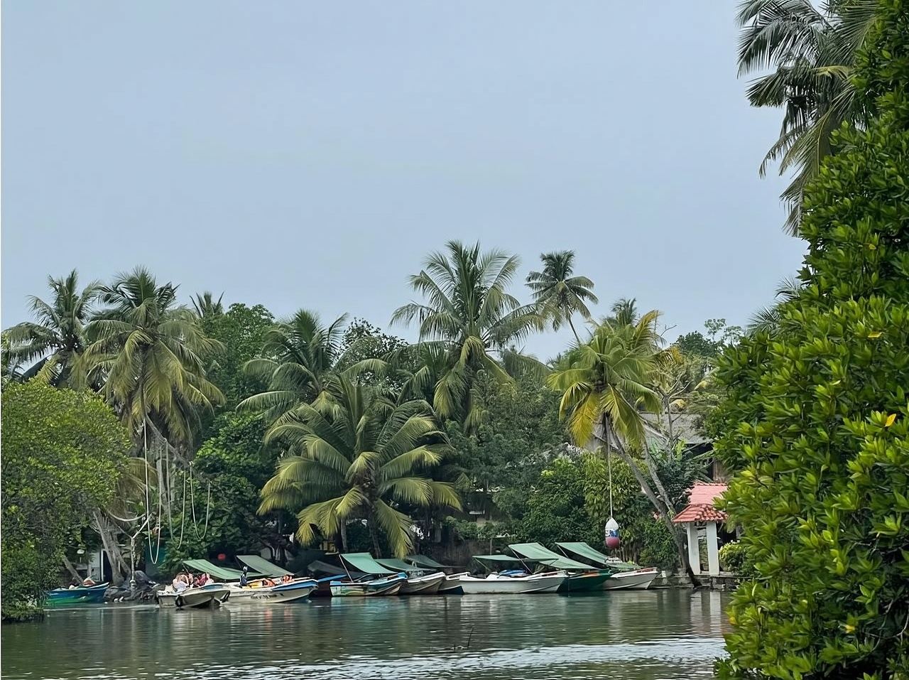 Berlepas dari Colombo, Sri Lanka|Lawatan sewaan peribadi sehari ke Hutan Bakau Bentota + Keretapi Laut + Bandar Lama Daerah Galle