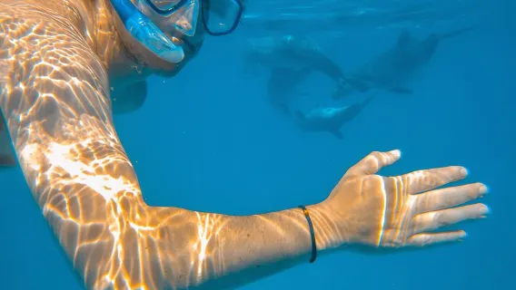 Tur Sehari Penuh ke Pulau Wasini dengan Snorkeling dan Makan Siang