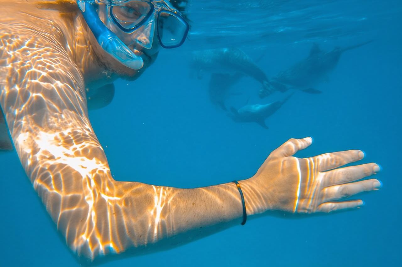 Full-Day Special Wasini Island Tour with Snorkeling and Lunch