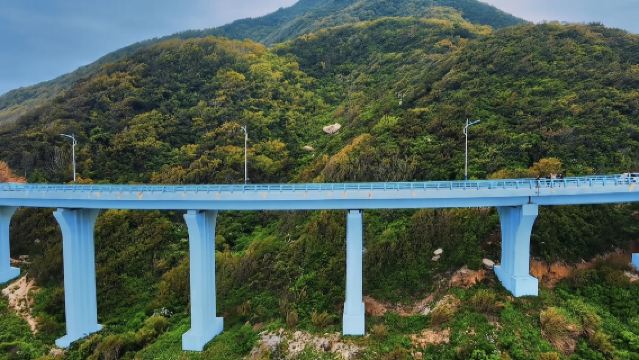 Perkhidmatan lawatan sehari di Kaunti Dongshan dengan pilihan tarikan dan tempoh 10 jam.