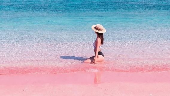 印尼科莫多一日遊【帕達爾島丨快艇出海丨尋龍之旅浮潛粉紅沙灘】