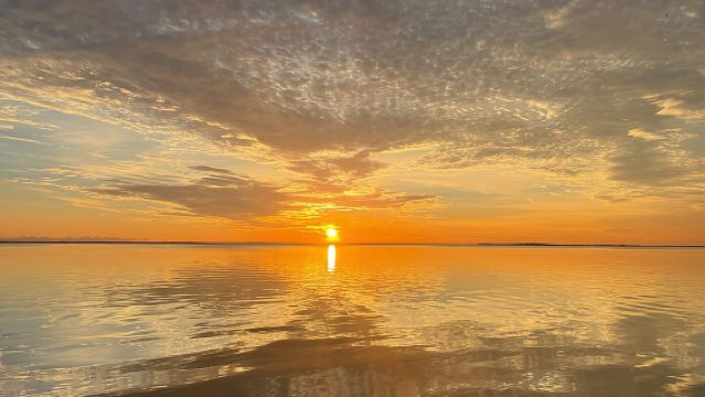 ทัวร์ชมโลมาและพระอาทิตย์ตกที่อ่าวคีย์ลาร์โก