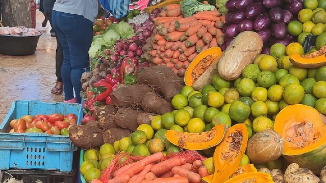 Tour cultural de medio día por la ciudad desde Punta Cana para grupos pequeños