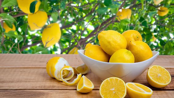 Limoncello-Making Masterclass in Rome with  Keepsake