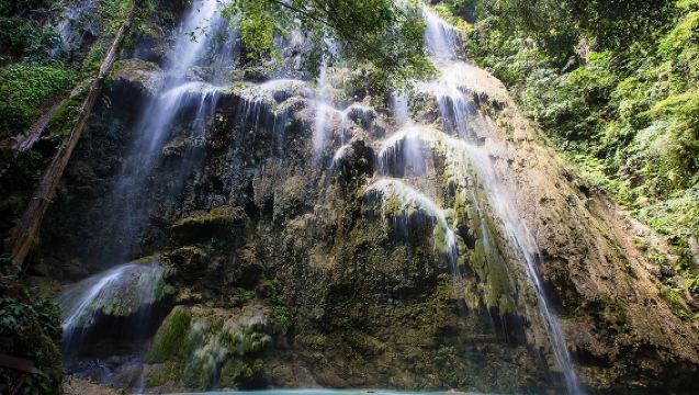 From Oslob: Swim with Whale Sharks of Oslob with sidetrip to Tumalog Falls Private Tour
