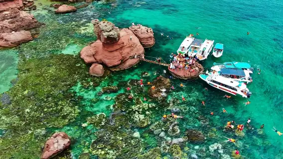 ทัวร์พายเรือยืนและดำน้ำตื้นที่ฟูกวี