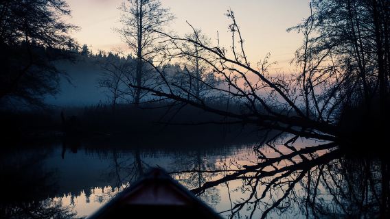 สตอกโฮล์ม: ล่องเรือแคนูชมพระอาทิตย์ตกและบาร์บีคิวบนเกาะ