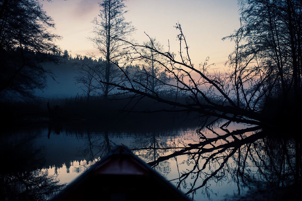 Stoccolma: safari in canoa al tramonto con i castori e barbecue sull'isola