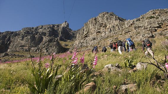 Cape Town Private Guided Table Mountain Hikes