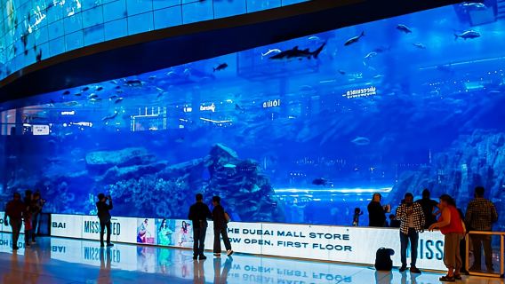 Dari Abu Dhabi: Tur Wisata Sehari Penuh di Dubai