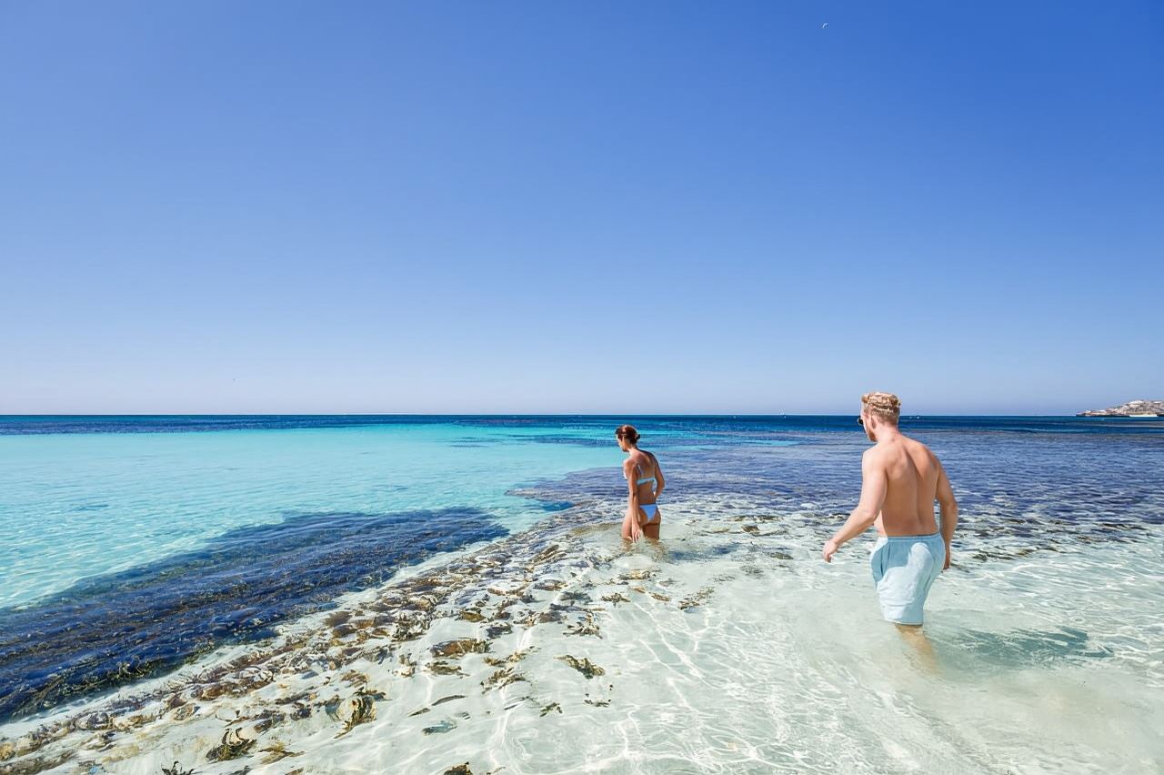 From Perth: Rottnest Island Ferry & Bus Day Tour
