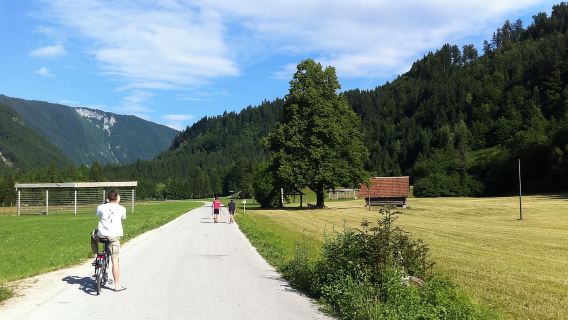 Desde Bled: viaje autoguiado en bicicleta eléctrica al Parque Nacional de Triglav