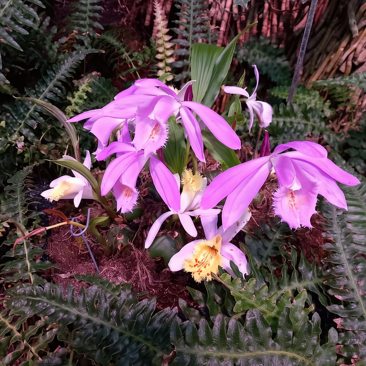 Tallinn TV tower and Botanic garden (a tour with a guide)