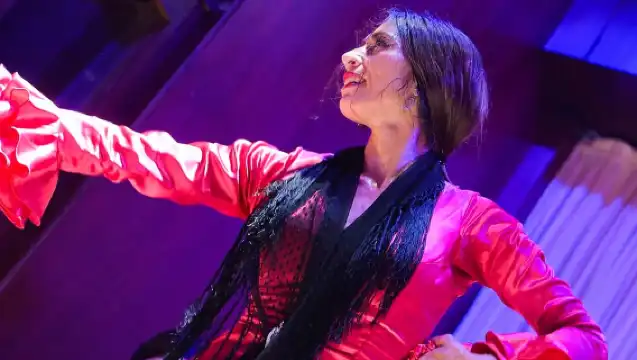 Valencia: La Linterna Flamenco Show
