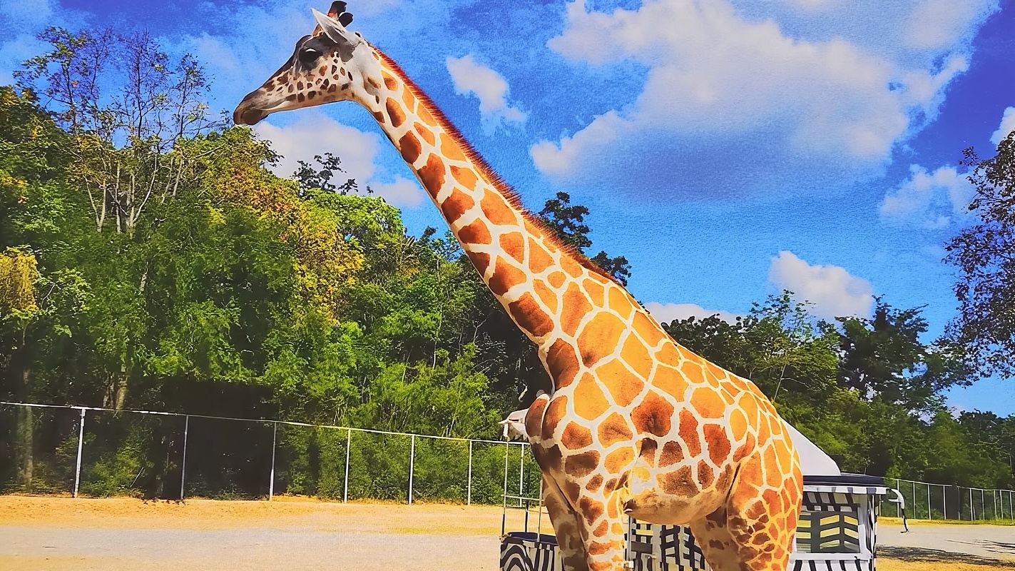 Price difference link