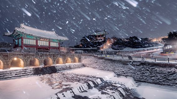 Seoul: Suwon Hwaseong Fortress & Korean Folk Village Tour