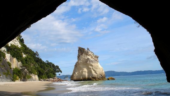 教堂灣拱門探海+駕駛溪小火車山林穿梭：奧克蘭來回包車一日遊