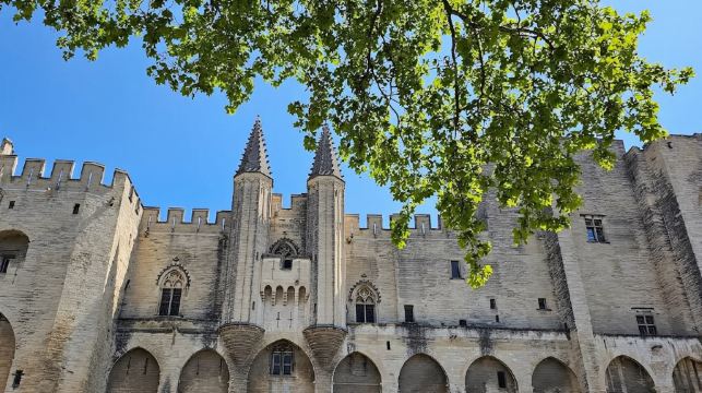 法國阿維尼翁城牆+教皇宮+阿維尼翁主教座堂【中文包車自由行】