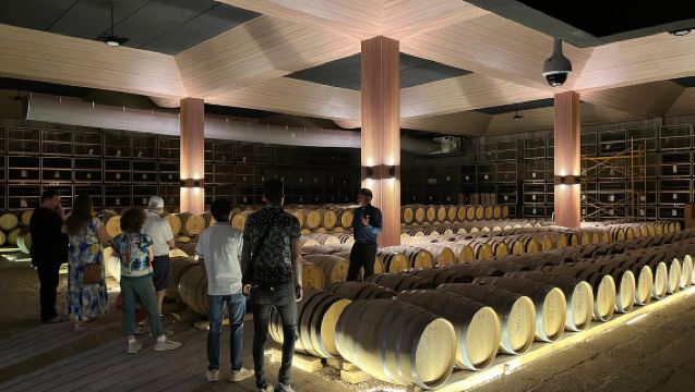 San Miguel de Allende: 3 or 5-Course Menu & Wine Pairing