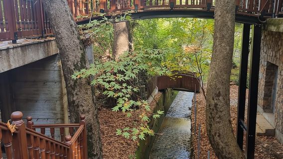 Cyprus: Troodos & Geopark or Pafos Forest & Villages Tour