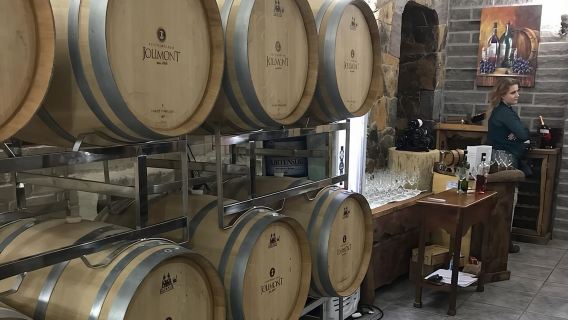 Jolimont Winery Tour - Visitation and Tasting - Canela RS