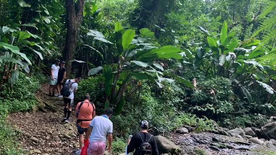 Excursión al Bosque Nacional El Yunque y a la Playa de Luquillo