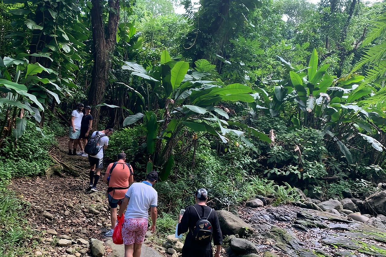 Tour della foresta nazionale El Yunque e della spiaggia di Luquillo
