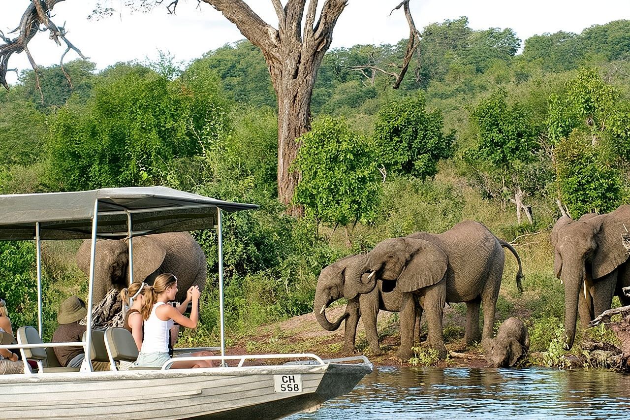 Chobe Full Day Trip