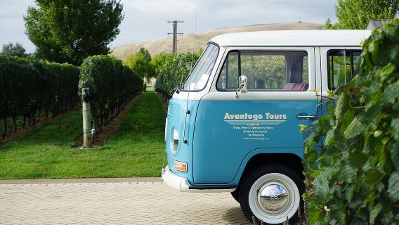 Wine Tour and Tastings in Hawkes Bay 