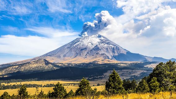 Volcanoes natural park guided excursion from Mexico City