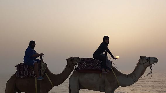 Camel Ride Experience with Evening Barbecue in Agadir