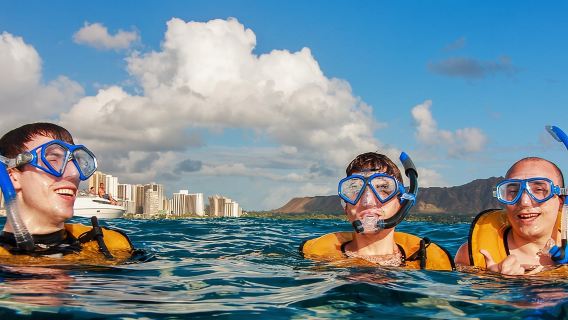 Turtle Canyon Snorkel Excursion from Waikiki, Hawaii