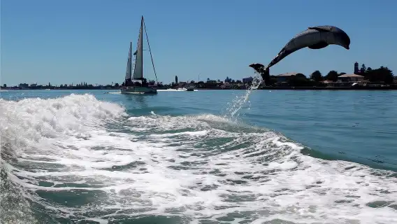 St. Pete Beach Area: Dolphin Racer Speedboat Adventure