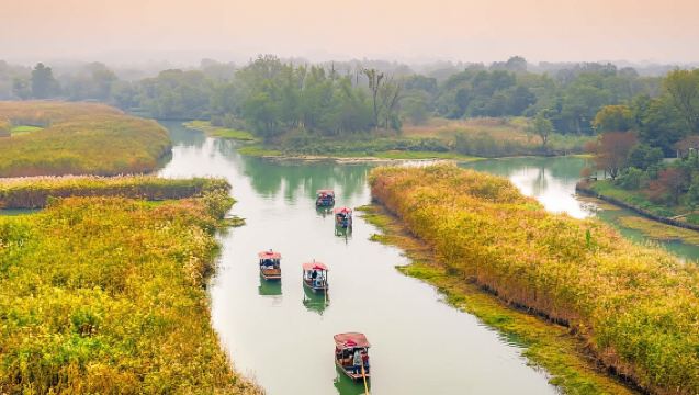杭州西溪濕地公園+宋城1日遊【門票全包 純玩團 天天發車】